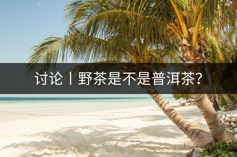 討論丨野茶是不是普洱茶？