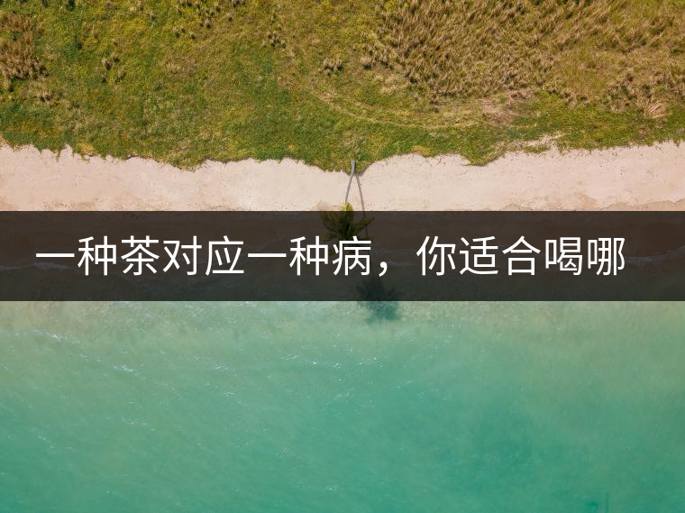 一種茶對(duì)應(yīng)一種病，你適合喝哪一種呢？