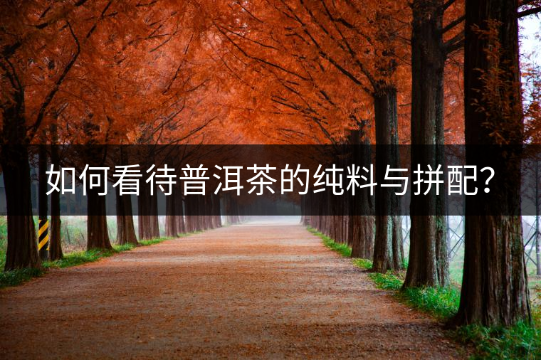 如何看待普洱茶的純料與拼配？