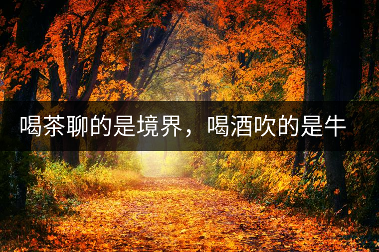 喝茶聊的是境界，喝酒吹的是牛皮