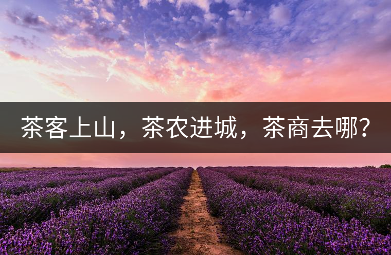 茶客上山，茶農進城，茶商去哪？