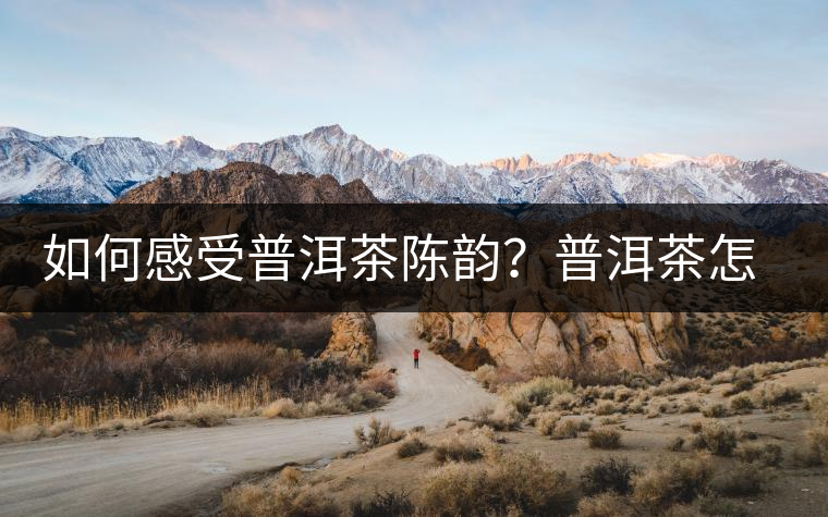 如何感受普洱茶陳韻？普洱茶怎么喝？