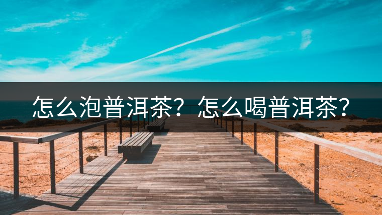 怎么泡普洱茶？怎么喝普洱茶？