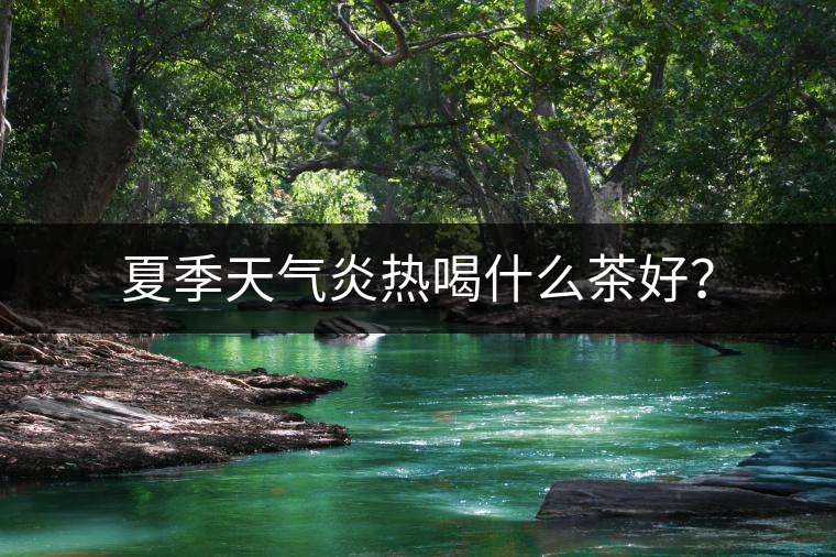 夏季天氣炎熱喝什么茶好？