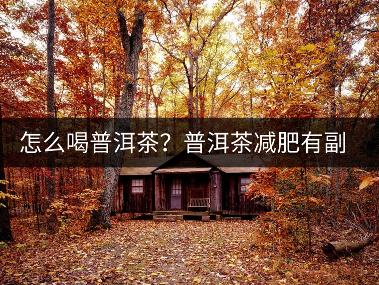 怎么喝普洱茶？普洱茶減肥有副作用嗎？