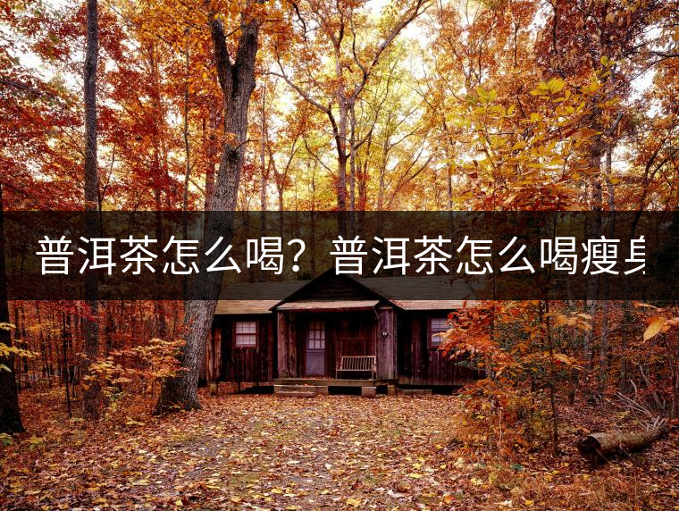普洱茶怎么喝？普洱茶怎么喝瘦身？