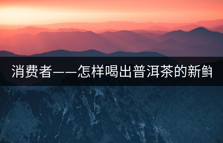 消費(fèi)者——怎樣喝出普洱茶的新鮮？