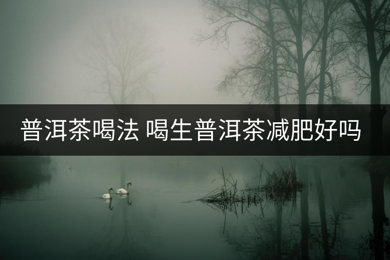 普洱茶喝法 喝生普洱茶減肥好嗎？