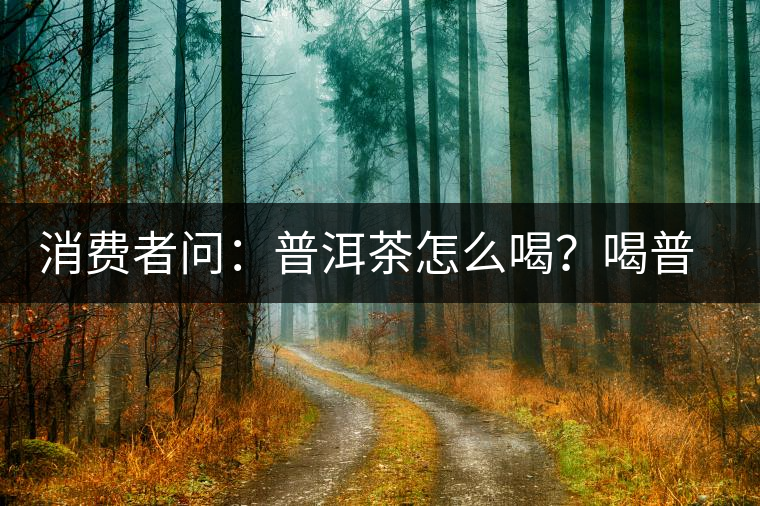 消費者問：普洱茶怎么喝？喝普洱茶要怎么沖泡好？