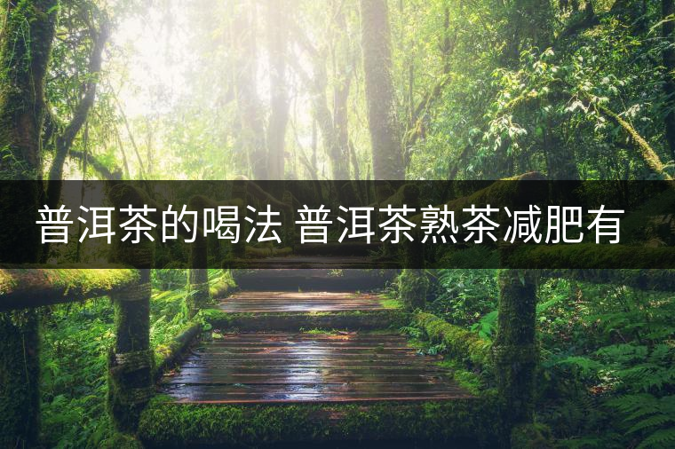 普洱茶的喝法 普洱茶熟茶減肥有什么效果嗎？