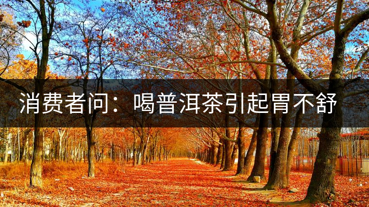 消費(fèi)者問：喝普洱茶引起胃不舒服怎么辦？