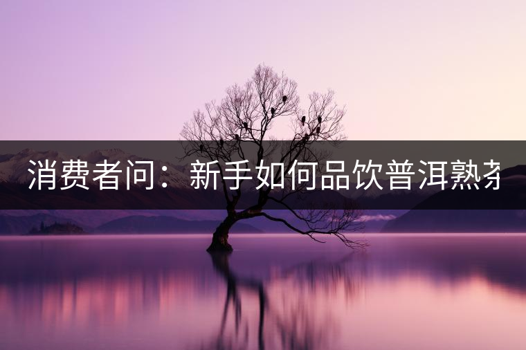 消費(fèi)者問：新手如何品飲普洱熟茶？