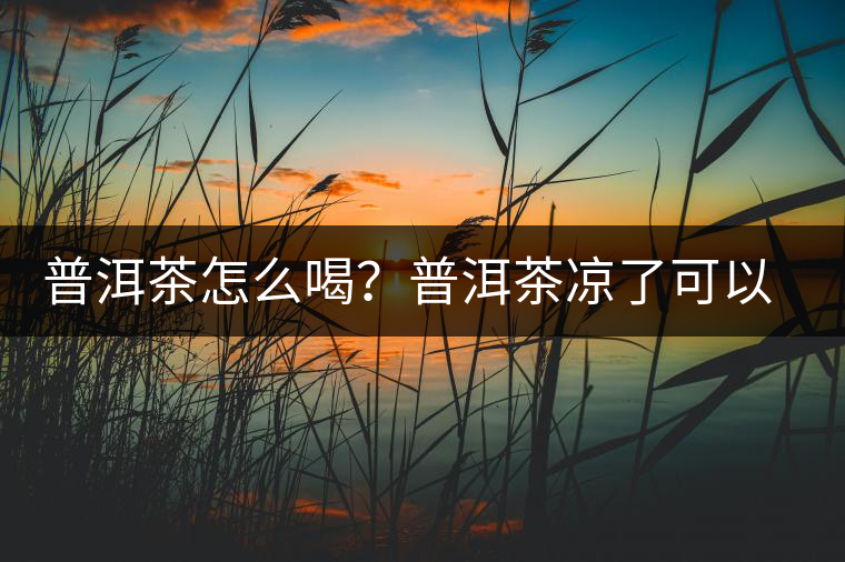 普洱茶怎么喝？普洱茶涼了可以喝嗎？