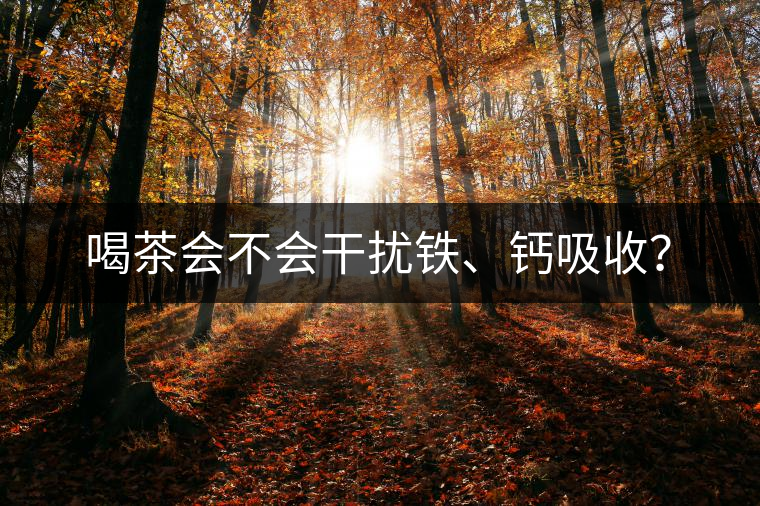 喝茶會(huì)不會(huì)干擾鐵、鈣吸收？