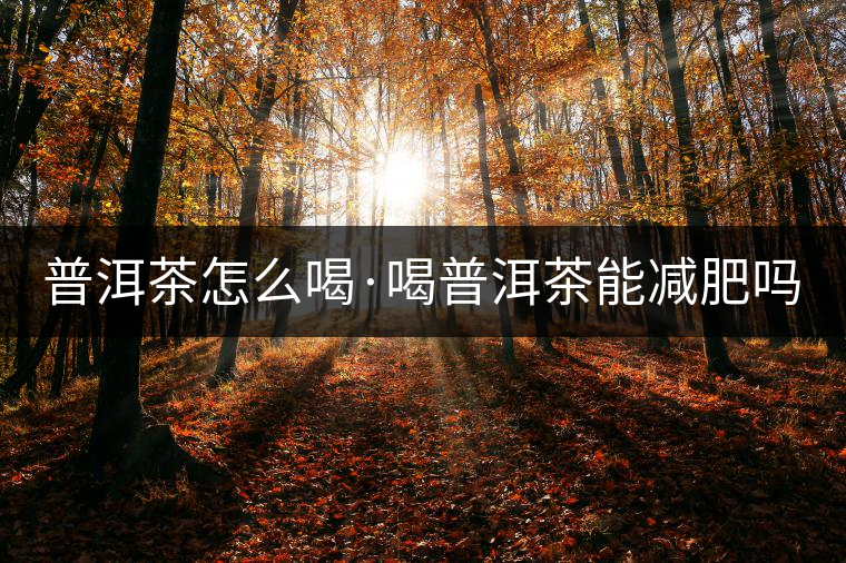 普洱茶怎么喝·喝普洱茶能減肥嗎？