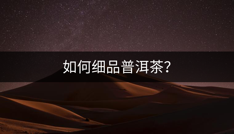 如何細品普洱茶？