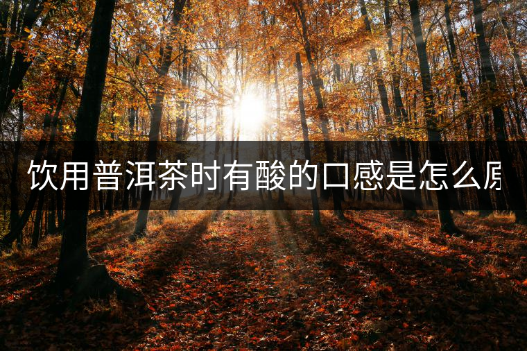飲用普洱茶時(shí)有酸的口感是怎么原因？