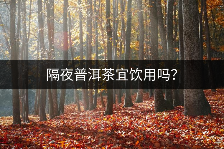 隔夜普洱茶宜飲用嗎？