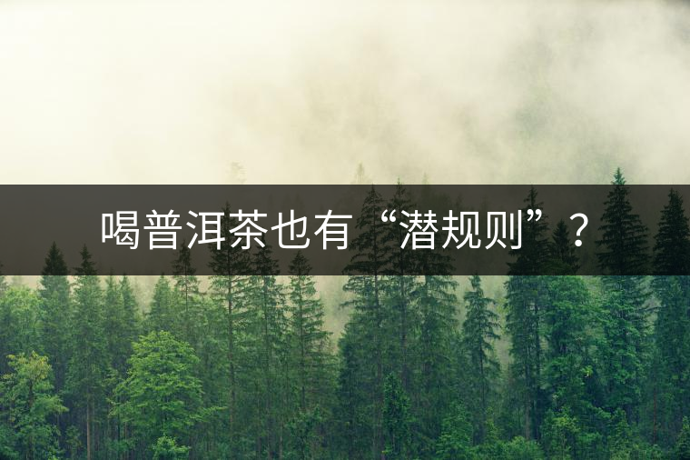 喝普洱茶也有“潛規(guī)則”？