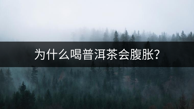 為什么喝普洱茶會腹脹？