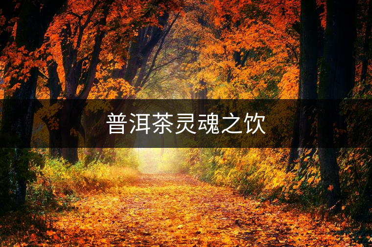 普洱茶靈魂之飲