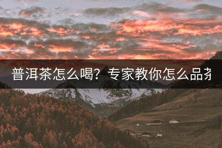 普洱茶怎么喝？專家教你怎么品茶？