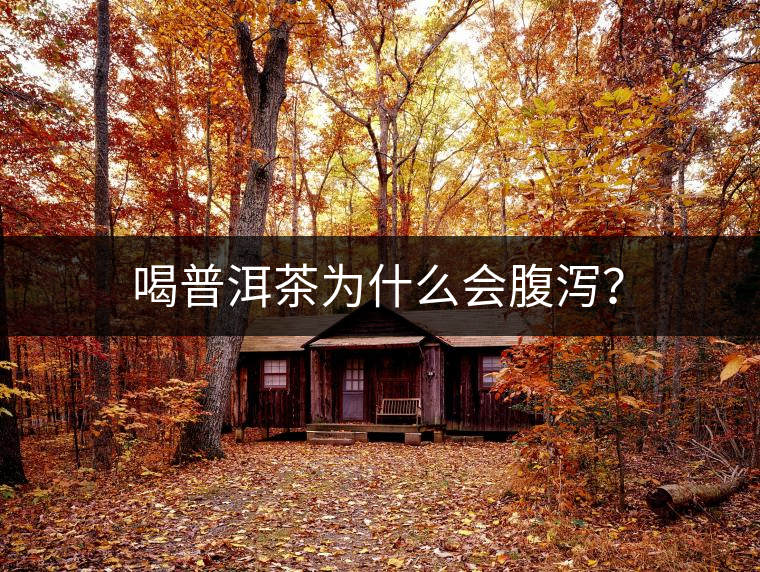 喝普洱茶為什么會(huì)腹瀉？