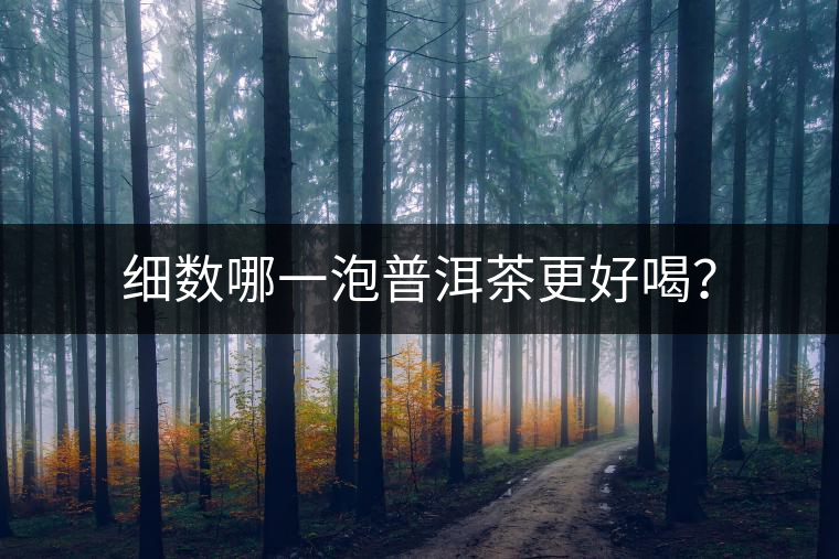 細(xì)數(shù)哪一泡普洱茶更好喝？