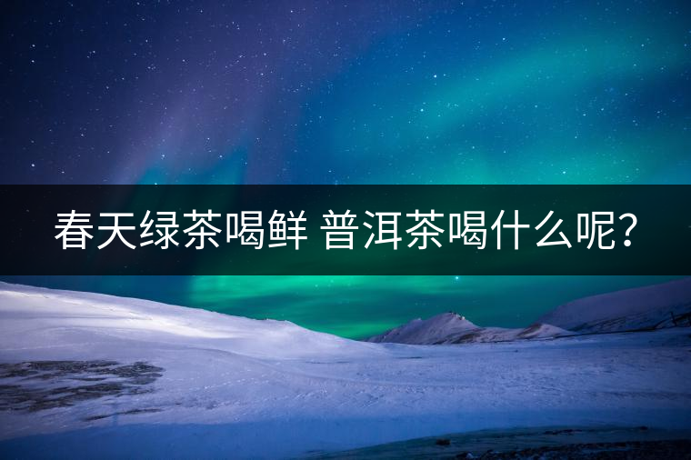 春天綠茶喝鮮 普洱茶喝什么呢？