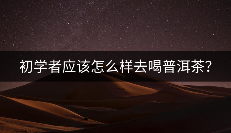 初學(xué)者應(yīng)該怎么樣去喝普洱茶？