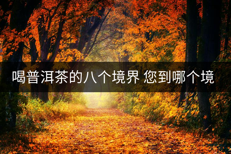 喝普洱茶的八個(gè)境界 您到哪個(gè)境界了？