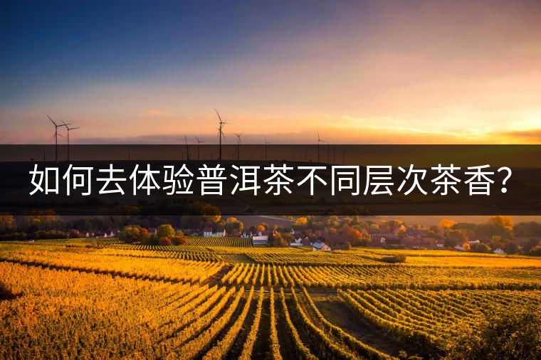 如何去體驗(yàn)普洱茶不同層次茶香？