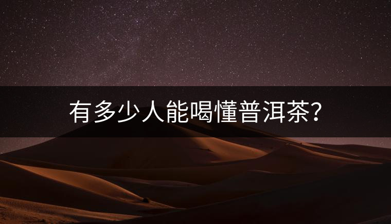 有多少人能喝懂普洱茶？