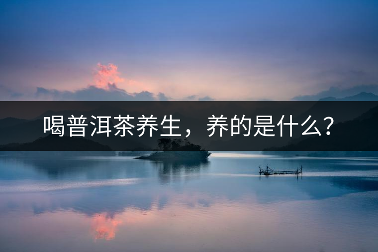 喝普洱茶養(yǎng)生，養(yǎng)的是什么？