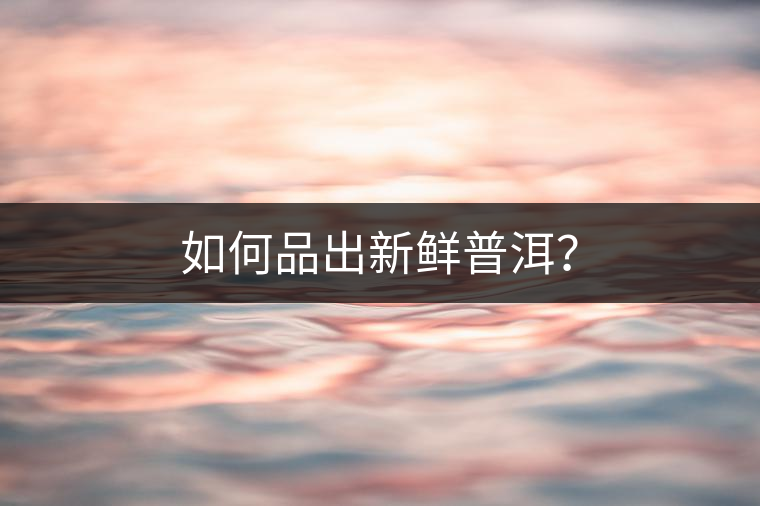 如何品出新鮮普洱？