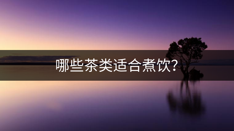 哪些茶類適合煮飲？