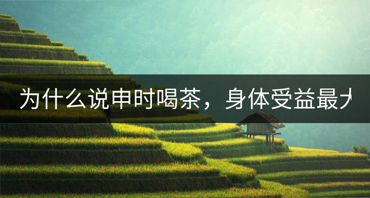 為什么說申時喝茶，身體受益最大？