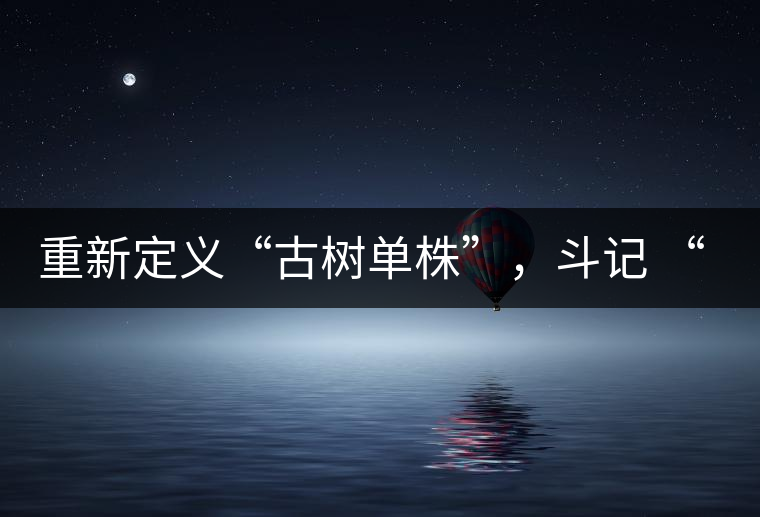 重新定義“古樹單株”，斗記 “超級審評”有償招募告罄在即！