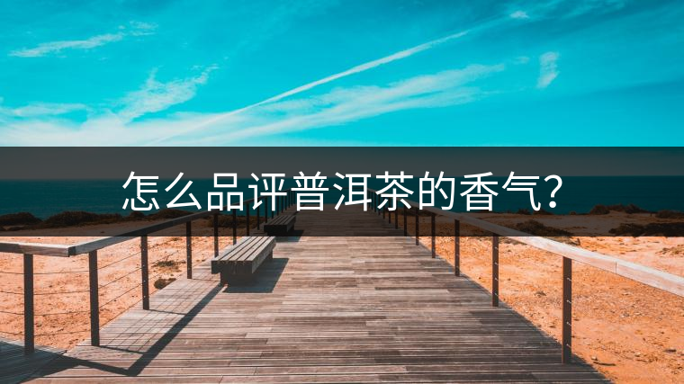 怎么品評普洱茶的香氣？