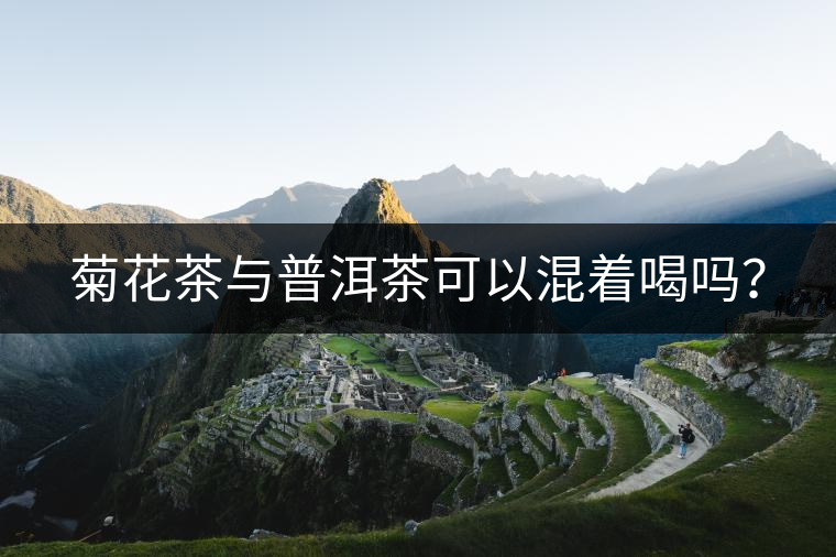 菊花茶與普洱茶可以混著喝嗎？