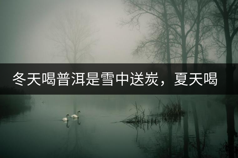 冬天喝普洱是雪中送炭，夏天喝就是火上澆油了？