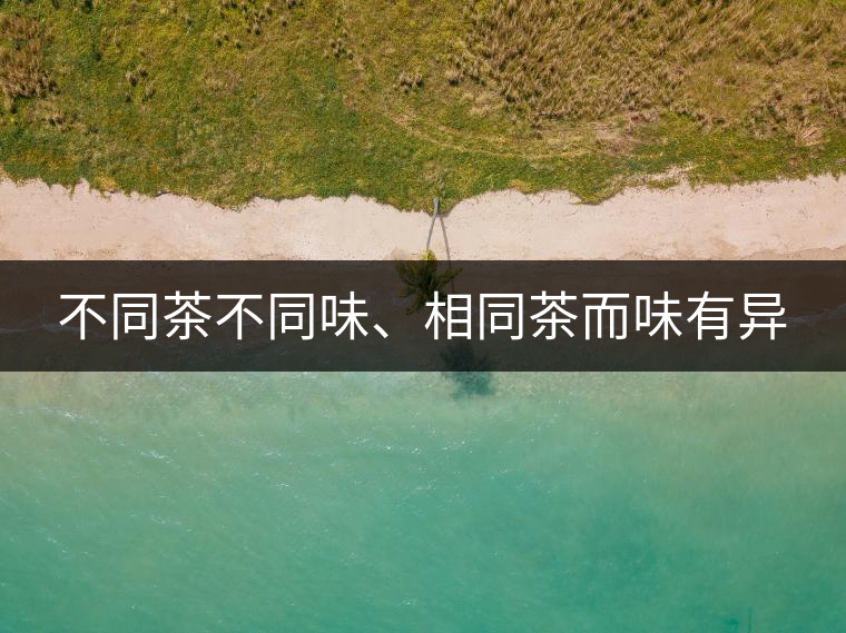 不同茶不同味、相同茶而味有異