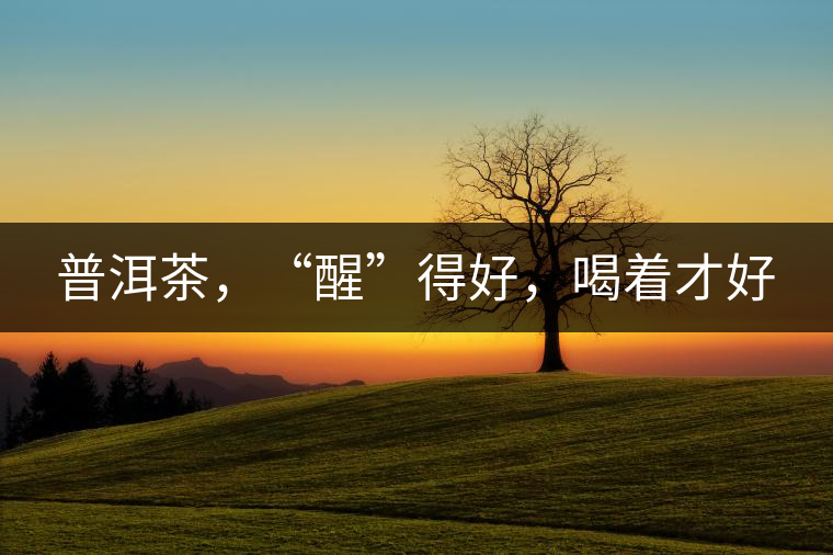 普洱茶，“醒”得好，喝著才好