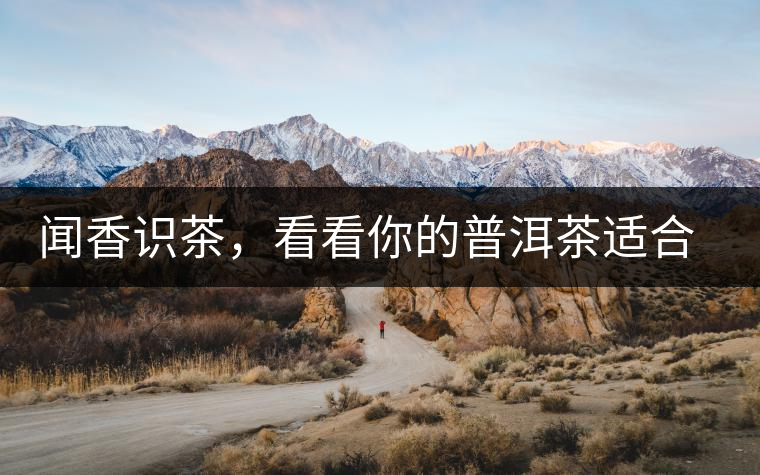 聞香識(shí)茶，看看你的普洱茶適合現(xiàn)在喝還是以后喝？