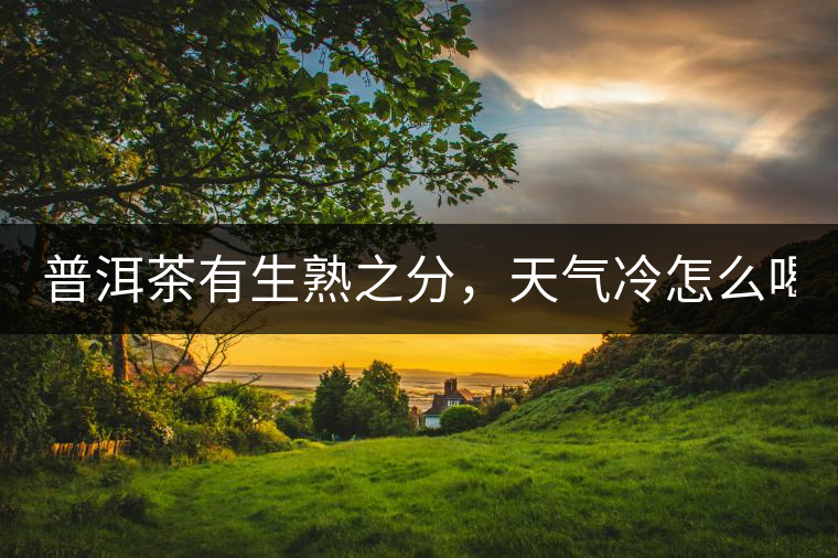普洱茶有生熟之分，天氣冷怎么喝？