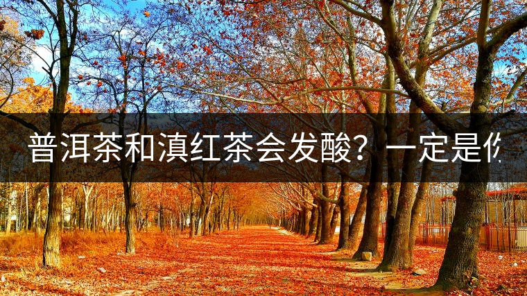 普洱茶和滇紅茶會發(fā)酸？一定是你這么做了！