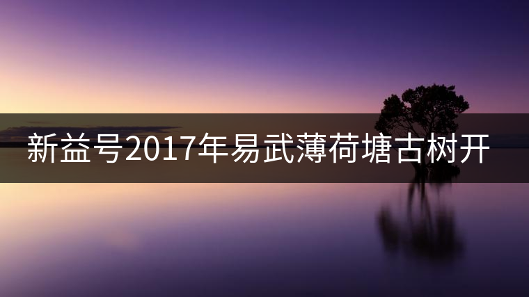新益號(hào)2017年易武薄荷塘古樹開湯 新益號(hào)2017年易武薄荷塘古樹開湯