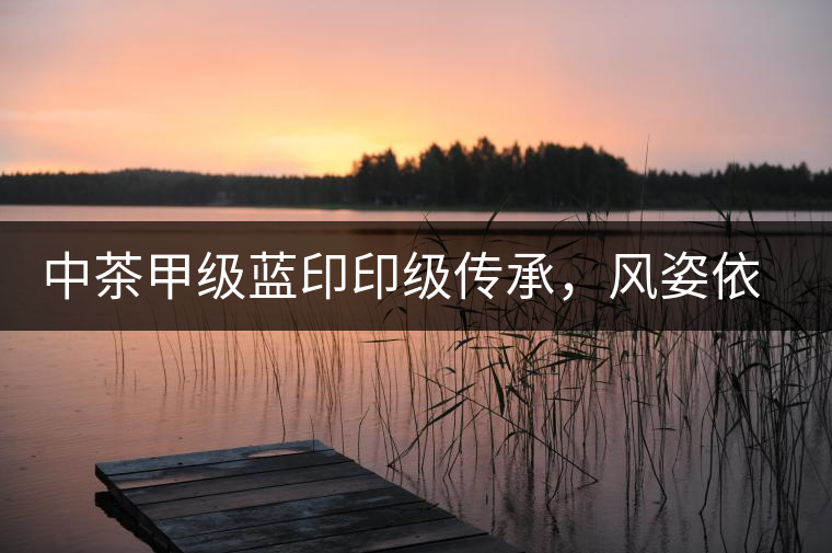 中茶甲級藍印印級傳承，風(fēng)姿依舊