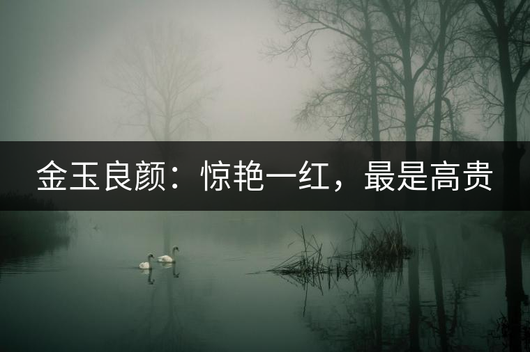 金玉良顏：驚艷一紅，最是高貴
