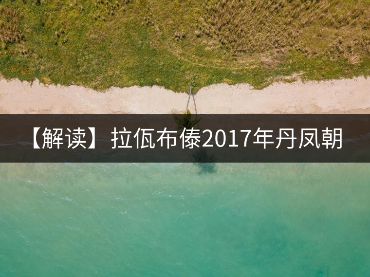 【解讀】拉佤布傣2017年丹鳳朝陽(yáng)（生）